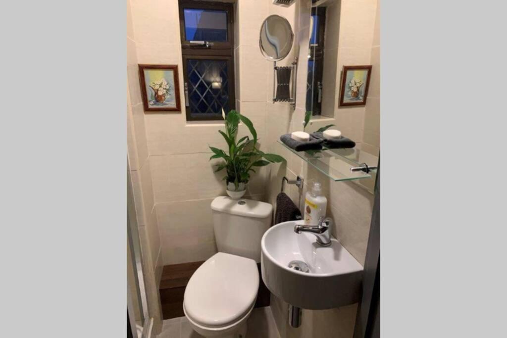 Upstairs Studio - Private Kitchenette And Small En-Suite Dublin Eksteriør billede