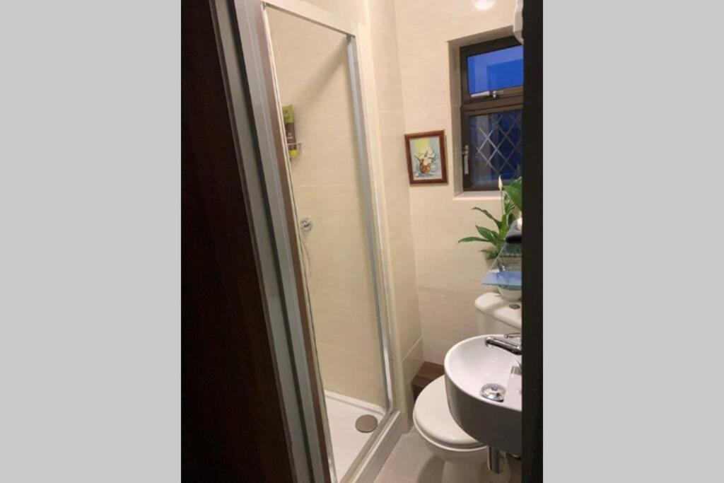 Upstairs Studio - Private Kitchenette And Small En-Suite Dublin Eksteriør billede
